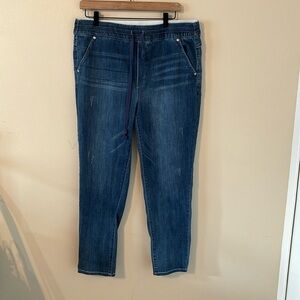 Democracy High Rise Slim Straight Pull On Jeans